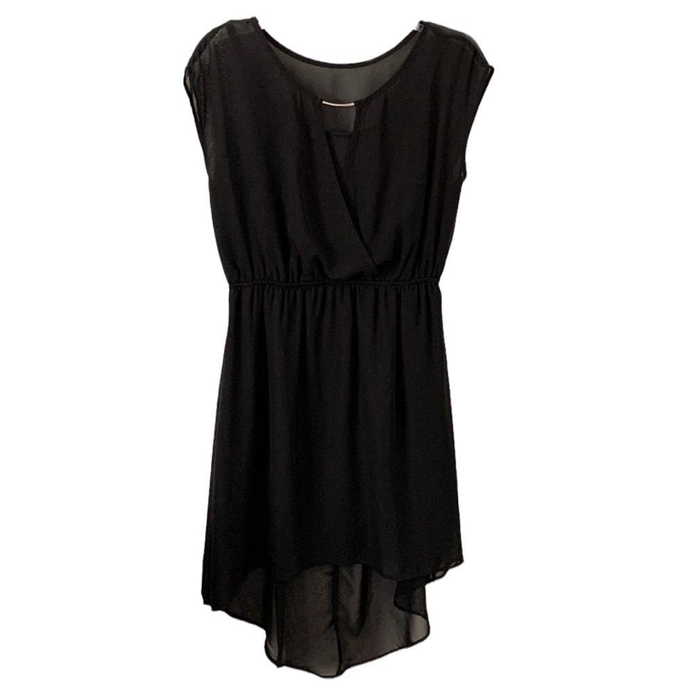 Love Delirious Sheer Fabric Dress